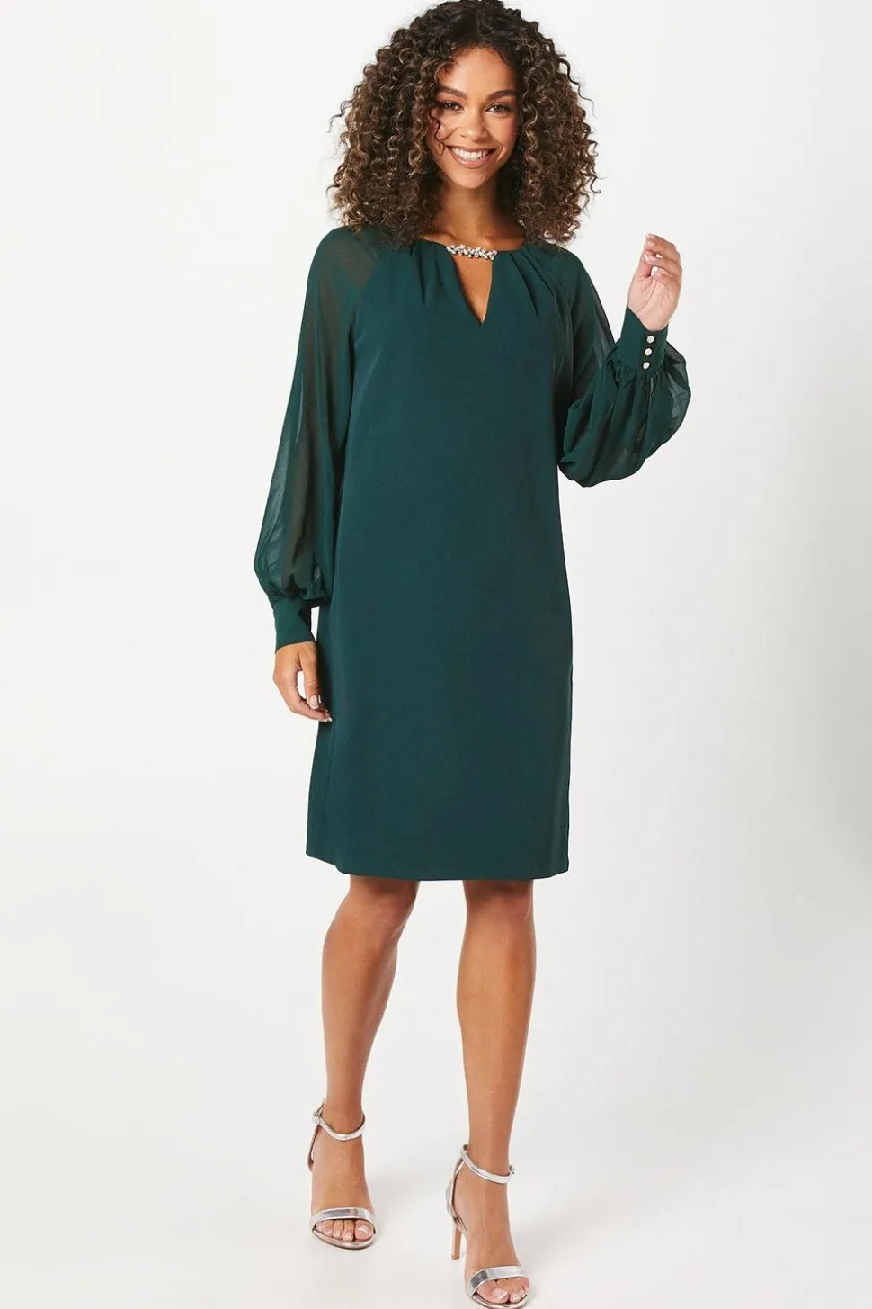 Occasion Embellished Sequin Chiffon Sleeve Shift Dress