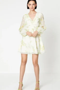 Occasion Floral 3D Organza Mini Dress