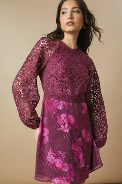 Occasion Floral Lace Bodice Mini Dress
