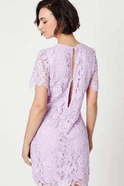 Occasion Lace Short Sleeve Mini Dress