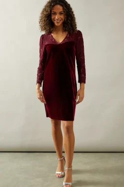Occasion Lace Sleeve Velvet Shift Dress