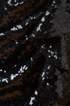 Occasion Sequin Corsage Mini Dress