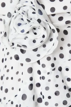 Occasion Spot Print Ruffle Maxi Dress