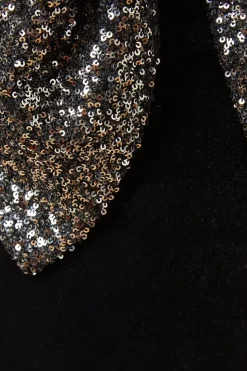 Occasion Velvet Sequin Bow Mini Dress