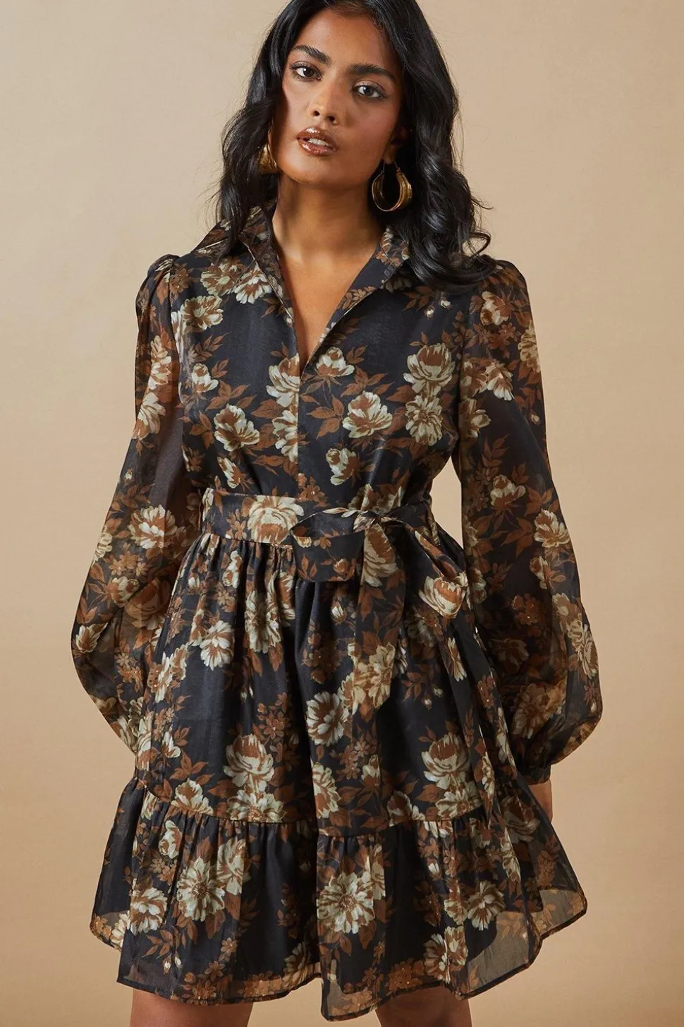 Organza Collared Mini Dress