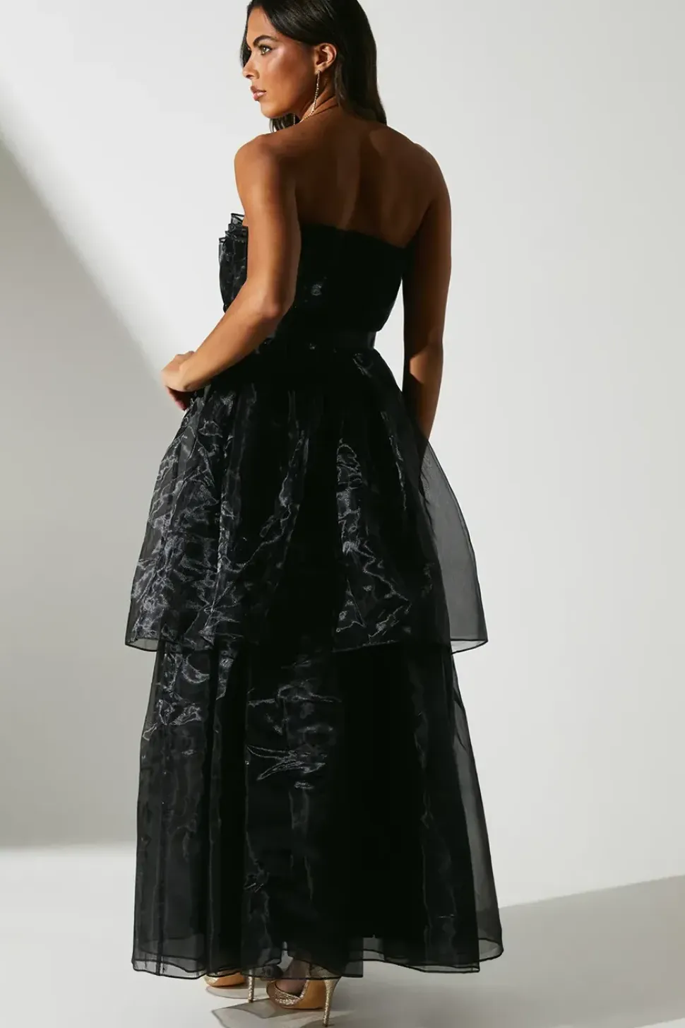 Organza Fan Bodice Maxi Dress