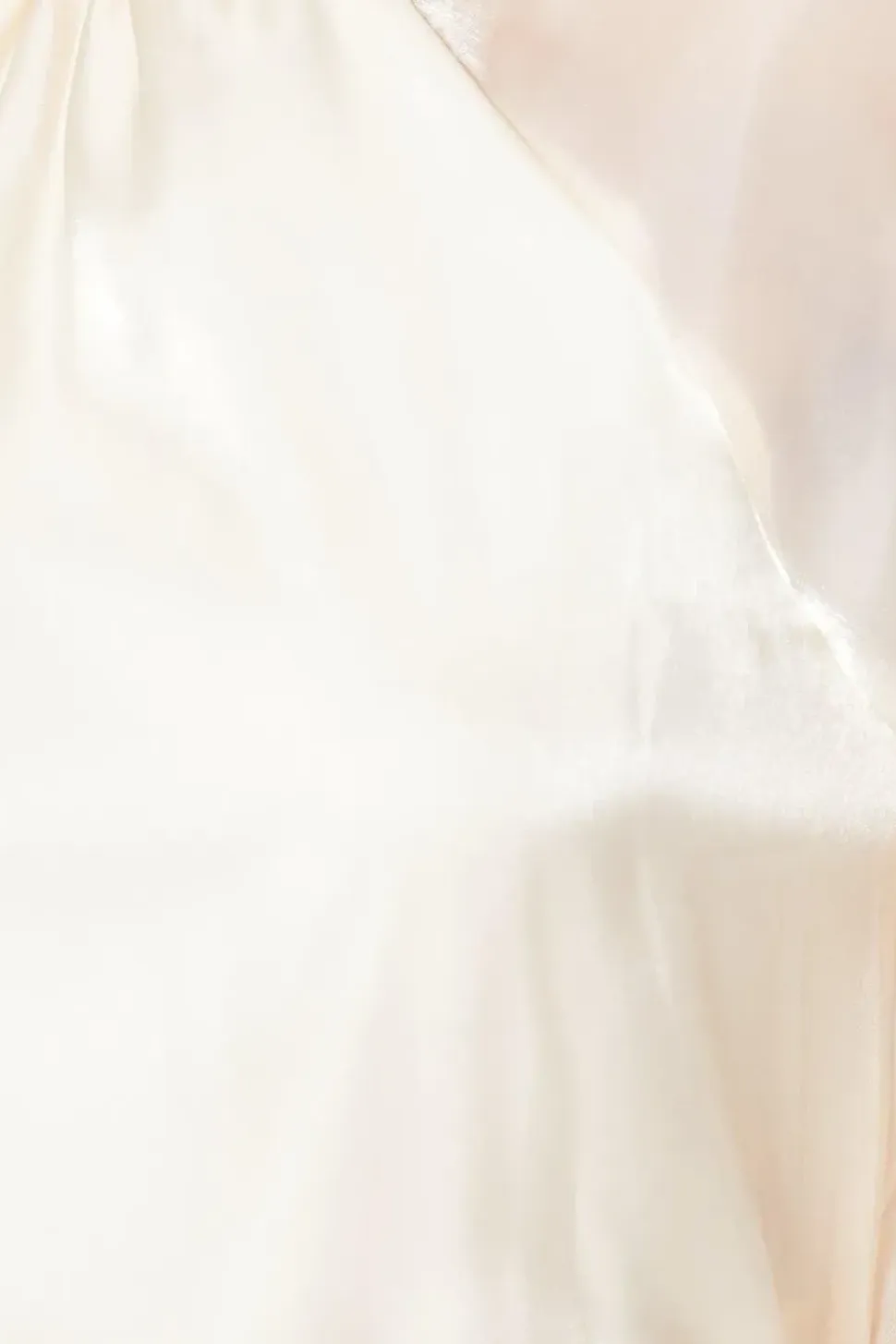 Organza Long Sleeve High Neck Blouse
