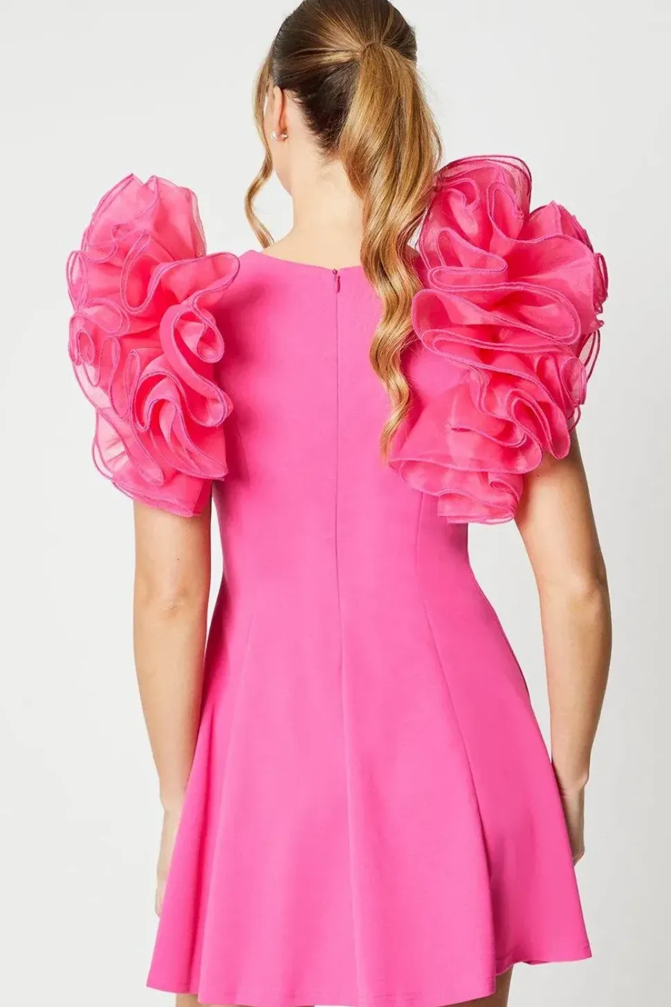 Organza Ruffle Sleeve Crepe Mini Dress