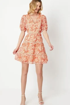 Paisley Burnout Chiffon Stripe Trim Mini Dress