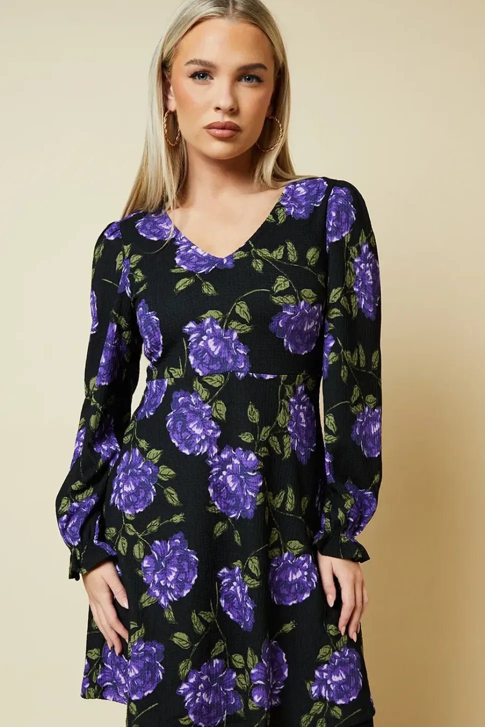 Petite Blue Floral V Neck Mini Dress