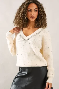 Petite Embellished Neck Trim V Neck Jumper