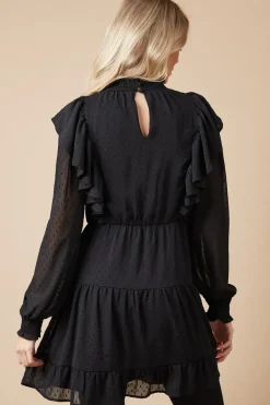 Petite Embroidered Dobby Chiffon Mini Dress