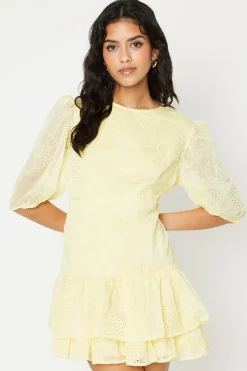Petite Floral Embroidered Organza Tiered Mini Dress