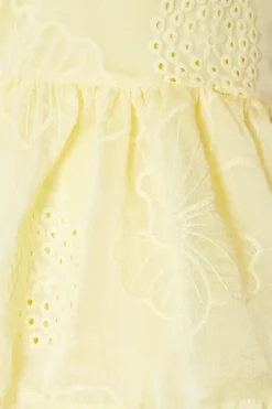 Petite Floral Embroidered Organza Tiered Mini Dress
