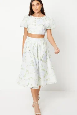 Petite Floral Organza Pleated Midi Skirt