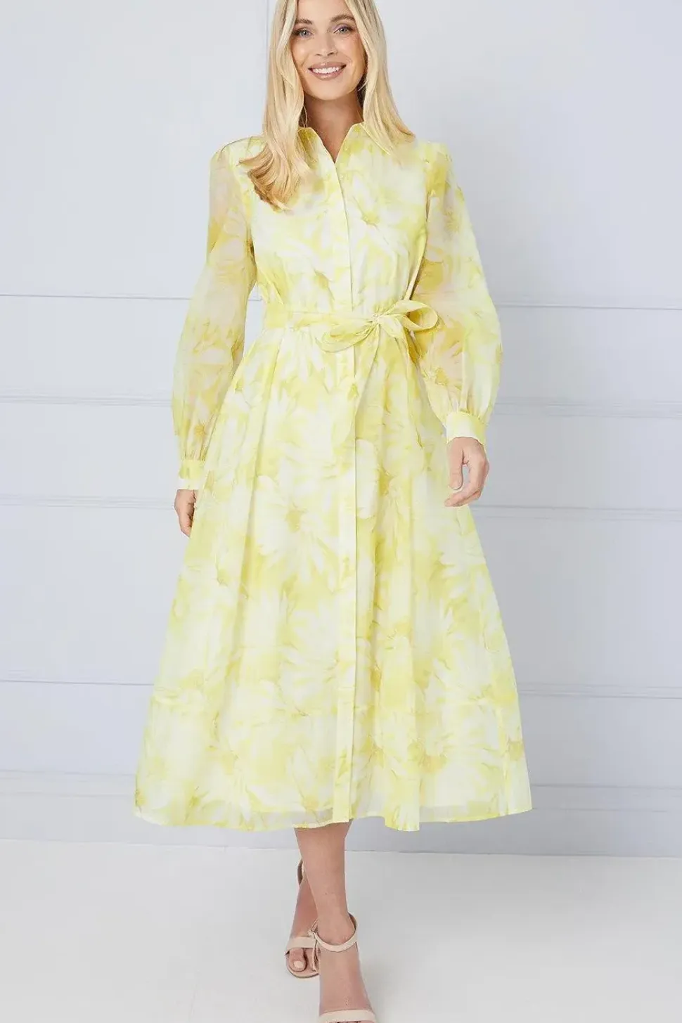 Petite Floral Organza Shirt Midi Dress
