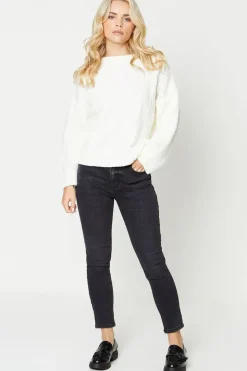 Petite High Rise Skinny Jeans