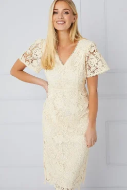 Petite Lace Flare Sleeve Pencil Dress