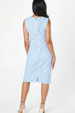 Petite Lace Pleated Sleeve Midi Dress