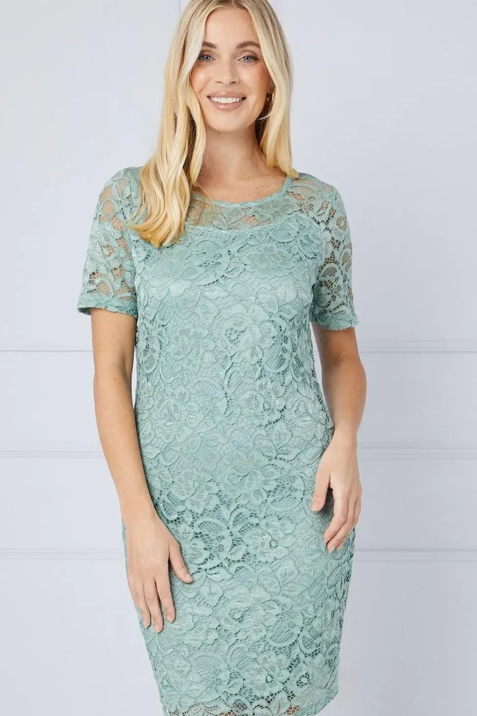 Petite Lace Short Sleeve Pencil Dress