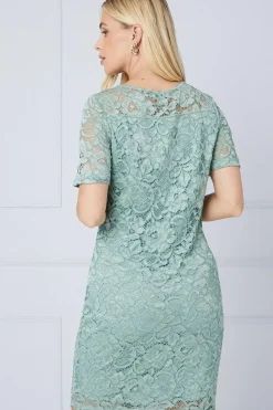 Petite Lace Short Sleeve Pencil Dress