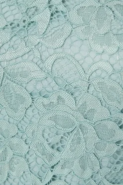 Petite Lace Short Sleeve Pencil Dress