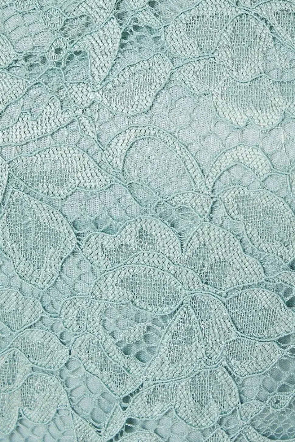 Petite Lace Short Sleeve Pencil Dress