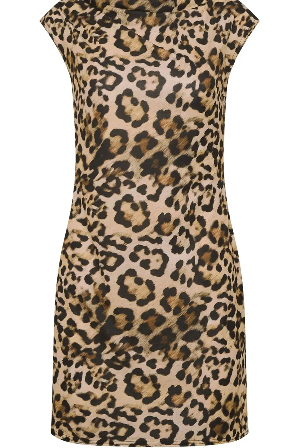 Petite Leopard Print Mini Dress