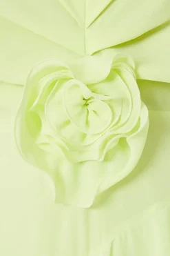 Petite Occasion Corsage Ruffle Maxi Dress