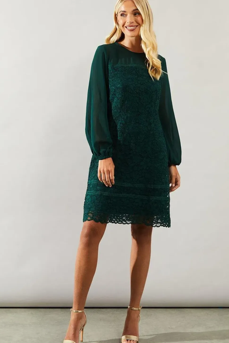 Petite Occasion Lace Chiffon Sleeve Shift Dress