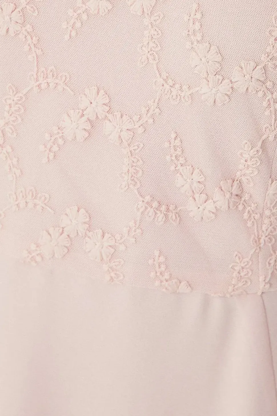 Petite Occasion Lace Short Sleeve Midi Dress