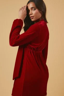 Petite Occasion Velvet Tie Neck Mini Dress