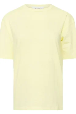 Petite 2 Pack Seam Detail T-Shirts