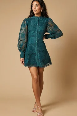 Petite Premium Organza Lace Trim Mini Shirt Dress