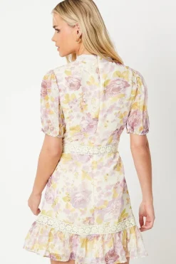 Petite Rose Floral Dobby Chiffon Lace Trim Mini Dress