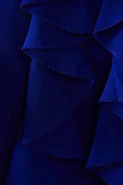 Petite Ruffle Detail Sleeveless Blouse