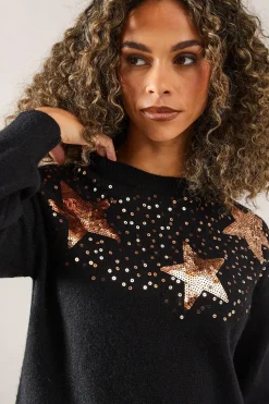 Petite Sequin Festive Star Jumper