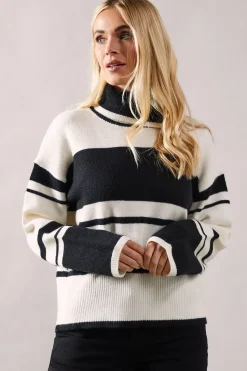 Petite Striped Colour Block Roll Neck Jumper