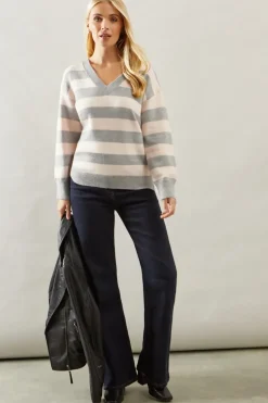 Petite Striped Detail V Neck Jumper