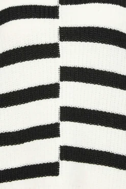 Petite Stripe Turtle Neck Jumper