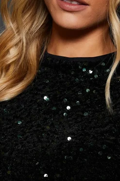 Petite Velvet Sequin Mini Dress