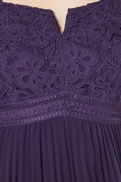 Placement Print Lace Bodice Pleated Skirt Midi Dress
