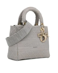 Preloved Mini Calfskin amour Lady with Painted Details and Chain