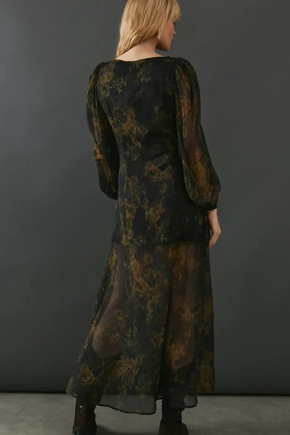 Printed Chiffon Long Sleeve Maxi Dress