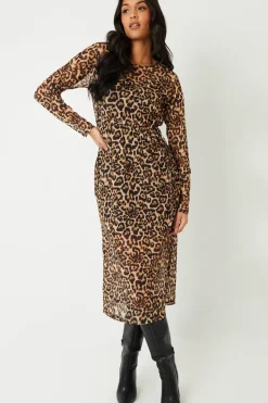 Printed Mesh Long Sleeve Maxi Dress