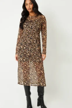 Printed Mesh Long Sleeve Maxi Dress