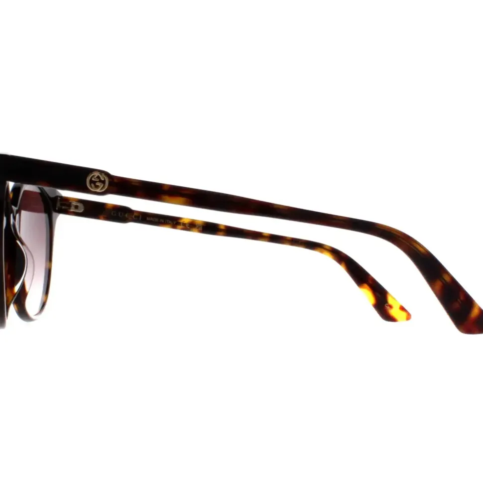 Round Dark Havana Brown Gradient GG0488S