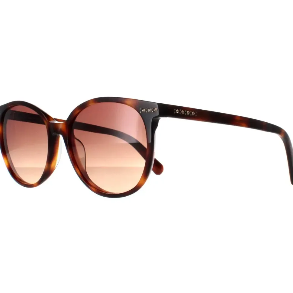 Round Dark Havana Brown Gradient SK0354