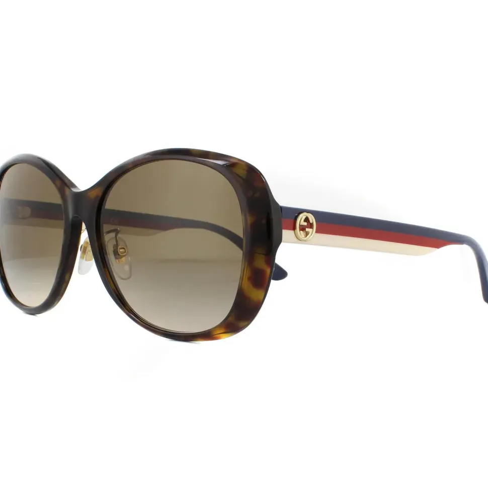 Round Dark Havana Brown Gradient Sunglasses