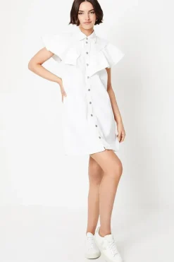 Ruffle Detail Sleeveless Denim Mini Dress
